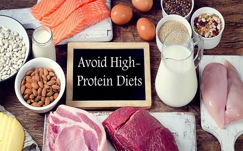  protein diets