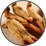 Asian Red Ginseng