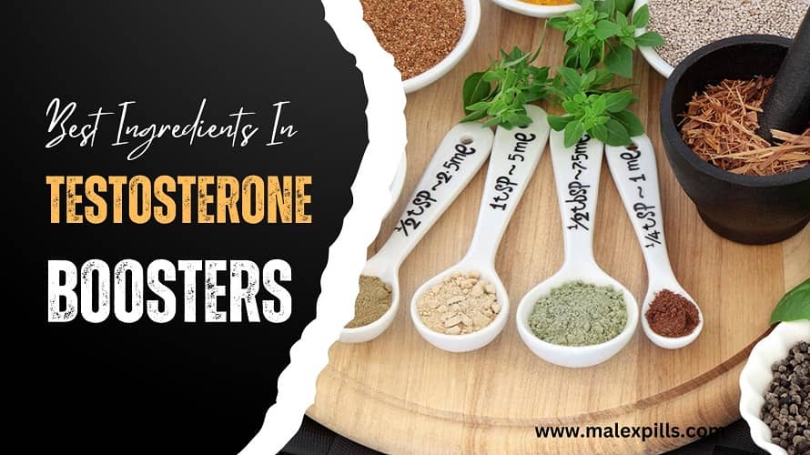 Best Ingredients For Testosterone Booster