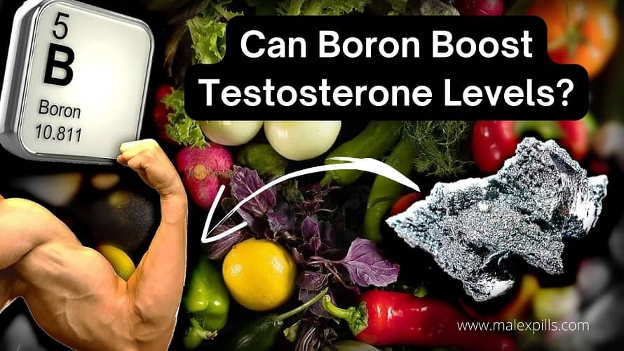 Boron For Testosterone