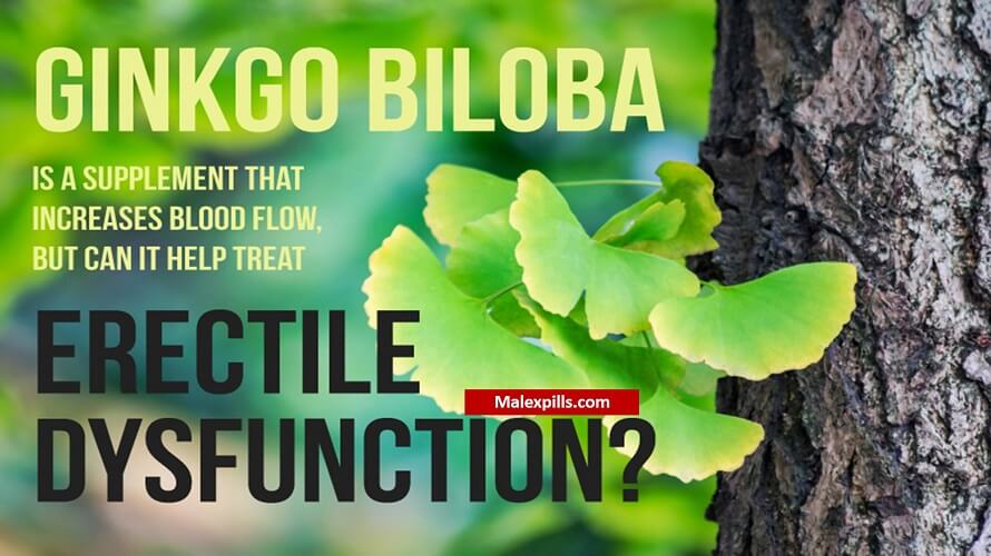 Ginkgo Biloba for Erectile Dysfunction