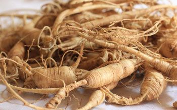 Panax Ginseng root