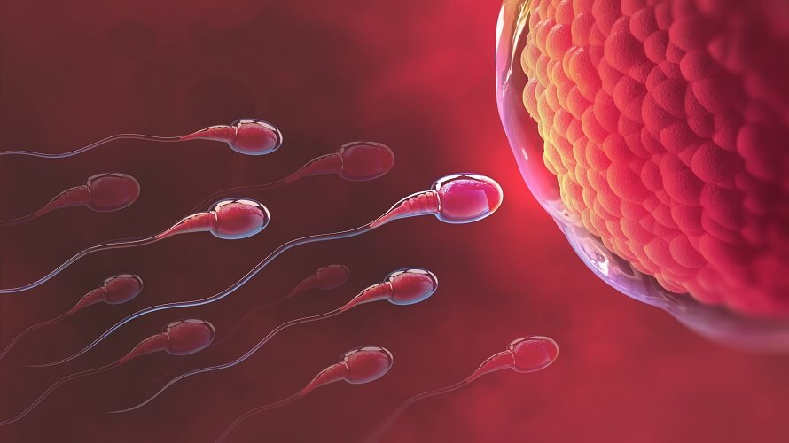 Healthy Sperm