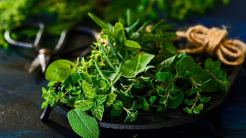 Herbs To Boost Libido