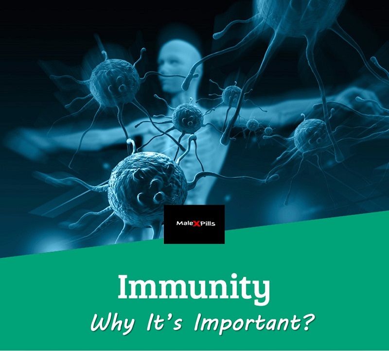 Immunity