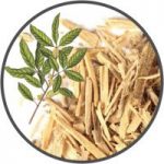 Muira Pauma Bark Extract