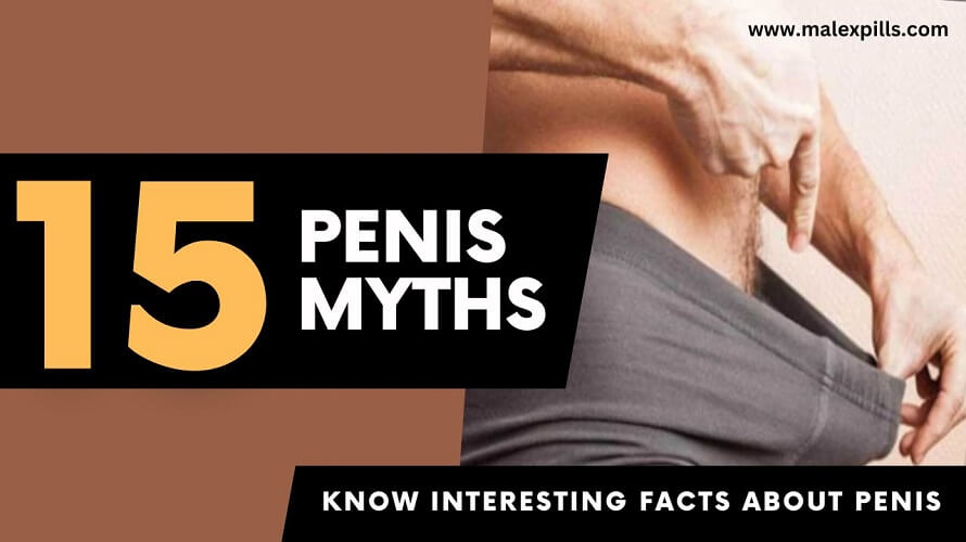 Penis Myths And Facts