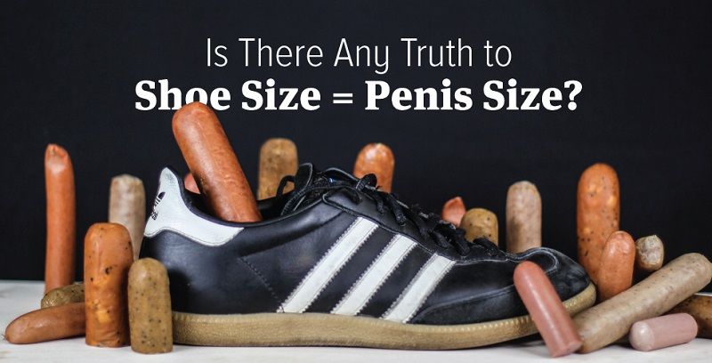 The shoe size myth
