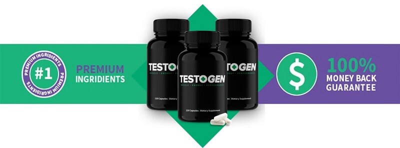 TestoGen Image Banner