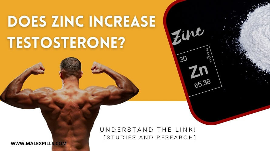 Zinc For Testosterone