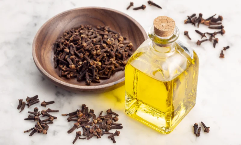 Clove oil for penis growth