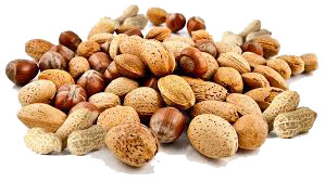 nuts-penis-food