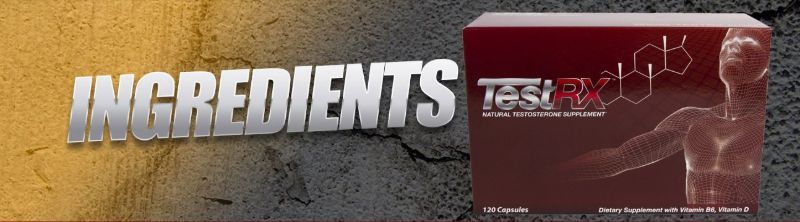 testrx ingredients